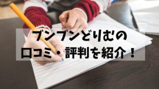 ブンブンどりむの口コミ・評判を徹底調査！利用者の声を調査して紹介！ 